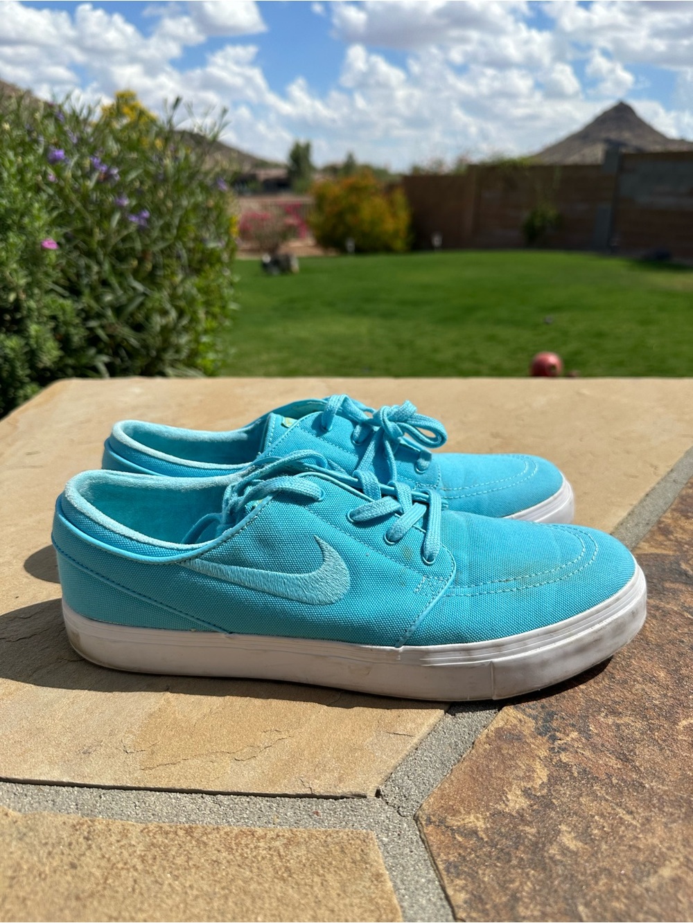 Nike Men’s Stefan Janoski Turquoise Low-Top Canvas Sneakers Size 10